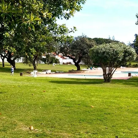 Oura Spot